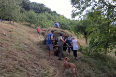 WP_20190720_17_05_22_Pro